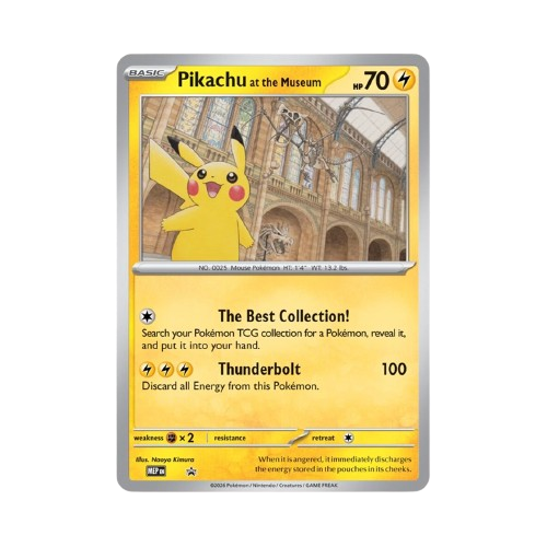 포켓몬 TCG 박물관 피카츄 자연사 박물관 한정 점보 프로모 카드 (영문판) Ungrade A (Pack ver)