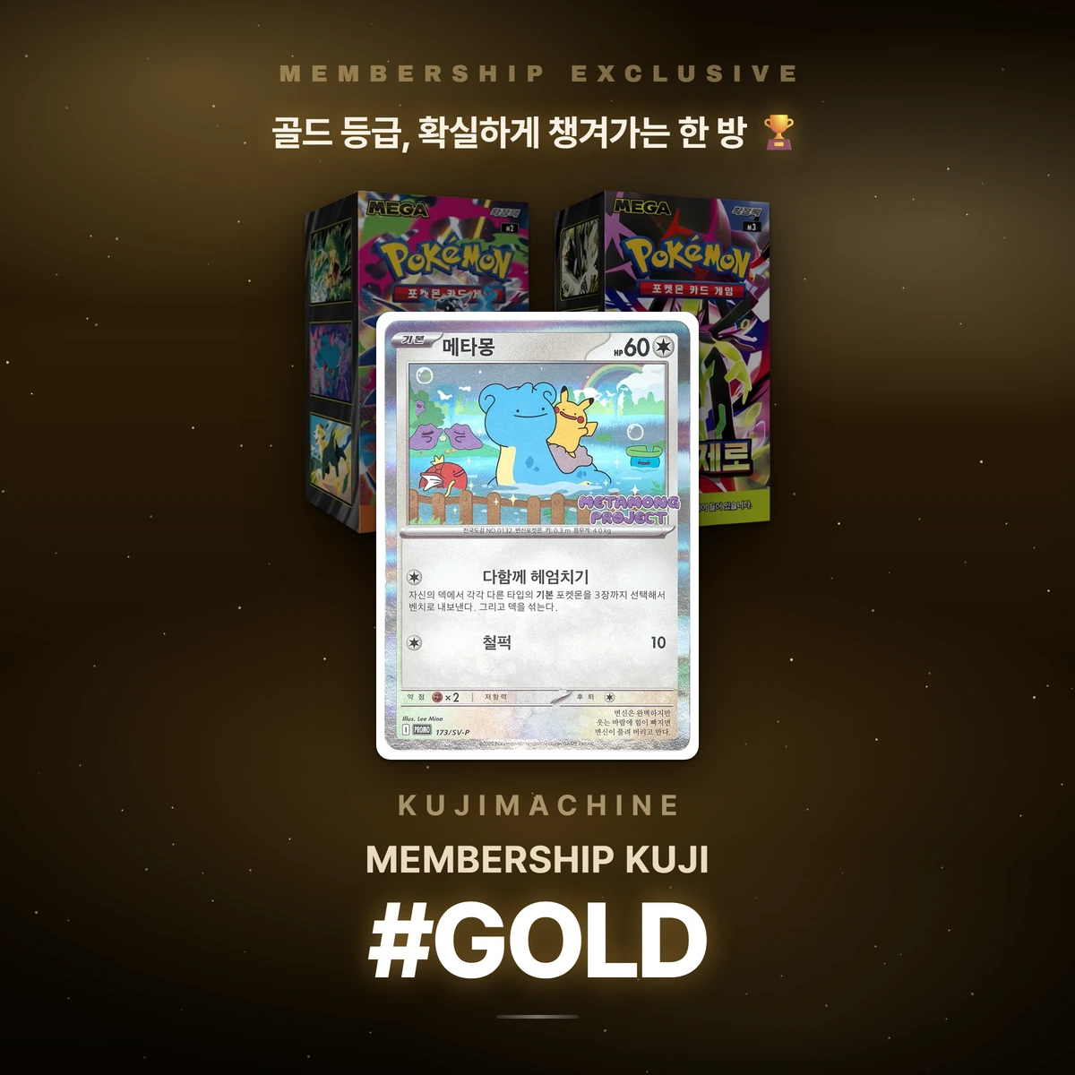 골드 멤버십 쿠지